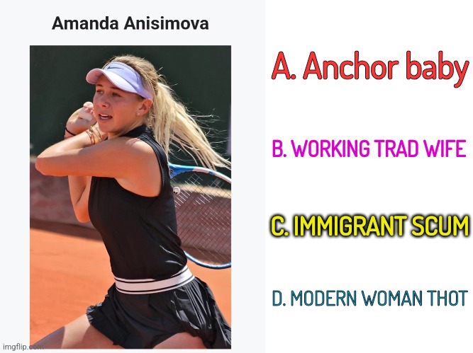 A. Anchor baby; B. WORKING TRAD WIFE; C. IMMIGRANT SCUM; D. MODERN WOMAN THOT | image tagged in multiple,choose wisely | made w/ Imgflip meme maker