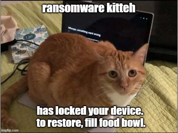 Or just shoo it off | ransomware kitteh; has locked your device. 
to restore, fill food bowl. | image tagged in cats,tablet,computer,computer virus,cat food | made w/ Imgflip meme maker