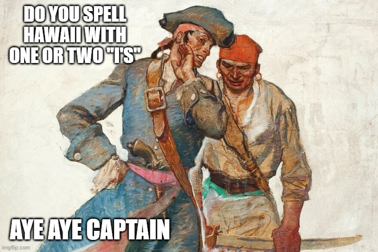 Captain asks 1st mate if Hawaii is spelled with two "I's". A: Aye aye captain. | DO YOU SPELL HAWAII WITH ONE OR TWO "I'S"; AYE AYE CAPTAIN | image tagged in funny,pirates,play on words,humor,spelling | made w/ Imgflip meme maker
