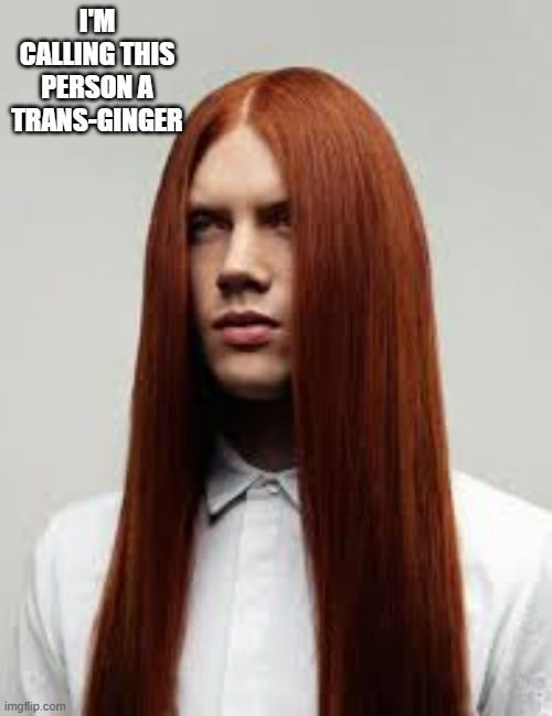 I'm calling this person a trans-ginger.  - funny - | I'M CALLING THIS PERSON A TRANS-GINGER | image tagged in funny,people,humor,play on words,transgender,hair | made w/ Imgflip meme maker