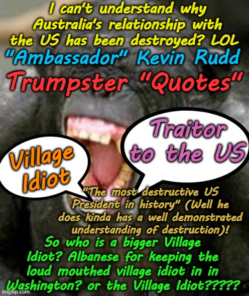 So just why has Australia's relationship with Trump been destroyed? | I can't understand why Australia's relationship with the US has been destroyed? LOL; "Ambassador" Kevin Rudd; Trumpster "Quotes"; Traitor to the US; Village Idiot; "The most destructive US President in history" (Well he does kinda has a well demonstrated understanding of destruction)! So who is a bigger Village Idiot? Albanese for keeping the loud mouthed village idiot in in Washington? or the Village Idiot????? | image tagged in basking shark,un diplomatic diplomat,short bloke syndrome,insanity,labor queenslander progressive loud mouth,big mouth | made w/ Imgflip meme maker