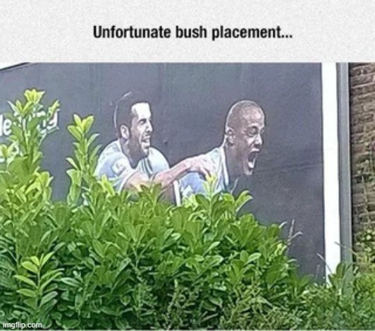 You know, placement matters | image tagged in memes,funny,cursed image,lmao,cursed | made w/ Imgflip meme maker