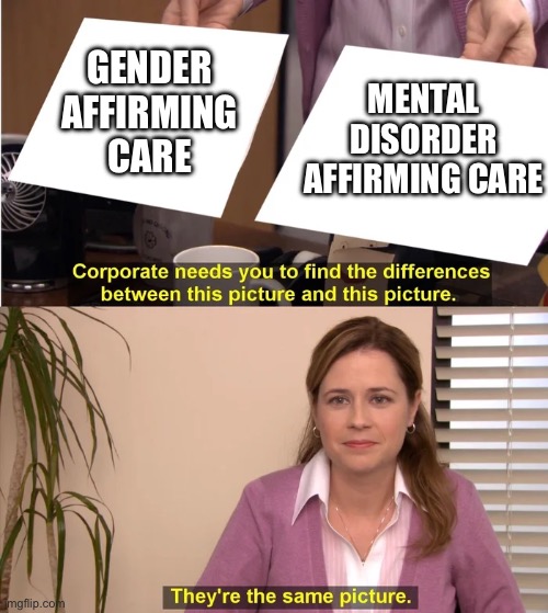 Affirmation ≠ Help | MENTAL DISORDER AFFIRMING CARE; GENDER AFFIRMING CARE | image tagged in there is no difference | made w/ Imgflip meme maker