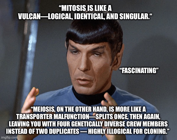 Vulcan Biology | “MITOSIS IS LIKE A VULCAN—LOGICAL, IDENTICAL, AND SINGULAR.“; “FASCINATING”; “MEIOSIS, ON THE OTHER HAND, IS MORE LIKE A TRANSPORTER MALFUNCTION—SPLITS ONCE, THEN AGAIN, LEAVING YOU WITH FOUR GENETICALLY DIVERSE CREW MEMBERS INSTEAD OF TWO DUPLICATES — HIGHLY ILLOGICAL FOR CLONING.” | image tagged in vulcan biology | made w/ Imgflip meme maker