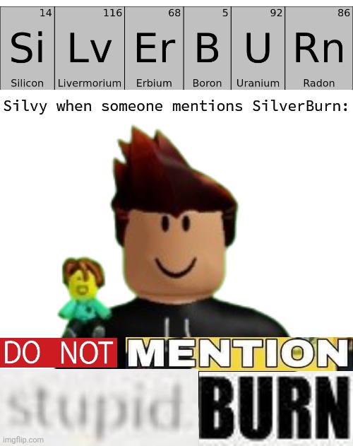Silvy, don't take it too seriously! | Silvy when someone mentions SilverBurn: | image tagged in silvy,do not mention stupid burn,stupid burn,expand dong | made w/ Imgflip meme maker