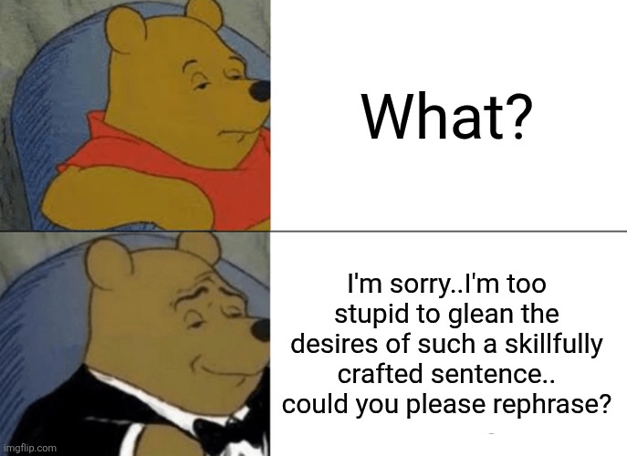? | What? I'm sorry..I'm too stupid to glean the desires of such a skillfully crafted sentence.. could you please rephrase? | image tagged in memes,tuxedo winnie the pooh,manners,questions | made w/ Imgflip meme maker