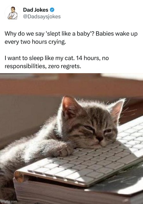 Sleeping like a cat | image tagged in tired cat,sleeping,baby | made w/ Imgflip meme maker