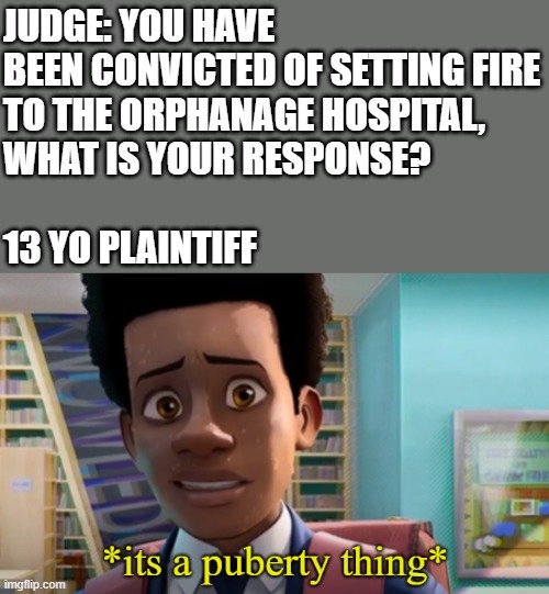 *its a puberty thing* | JUDGE: YOU HAVE BEEN CONVICTED OF SETTING FIRE
TO THE ORPHANAGE HOSPITAL,
WHAT IS YOUR RESPONSE?
 
13 YO PLAINTIFF | image tagged in its a puberty thing | made w/ Imgflip meme maker