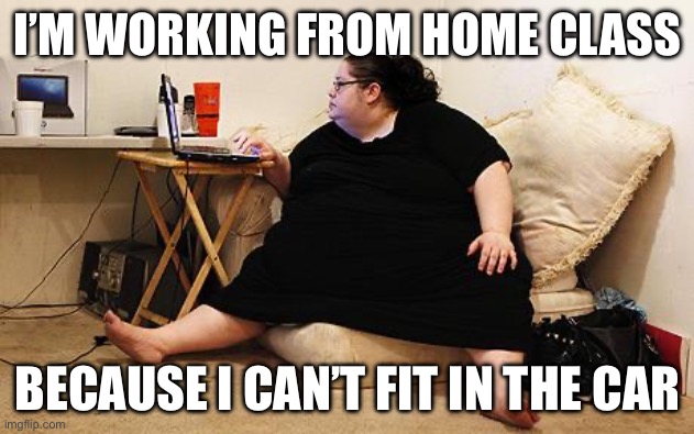 Teacher | I’M WORKING FROM HOME CLASS; BECAUSE I CAN’T FIT IN THE CAR | image tagged in obese woman at computer,teacher | made w/ Imgflip meme maker
