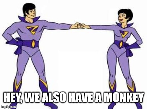 Can We Join the Justice Gang? | HEY, WE ALSO HAVE A MONKEY | image tagged in wonder twins | made w/ Imgflip meme maker