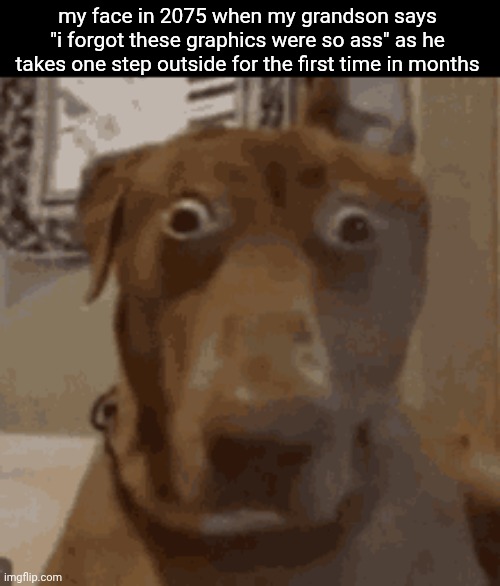 real life grass is NOT realistic enough  /srs | my face in 2075 when my grandson says "i forgot these graphics were so ass" as he takes one step outside for the first time in months | image tagged in chronically online,worst timeline | made w/ Imgflip meme maker