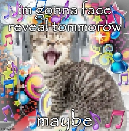 cat | im gonna face reveal tommorow; maybe | image tagged in cat | made w/ Imgflip meme maker