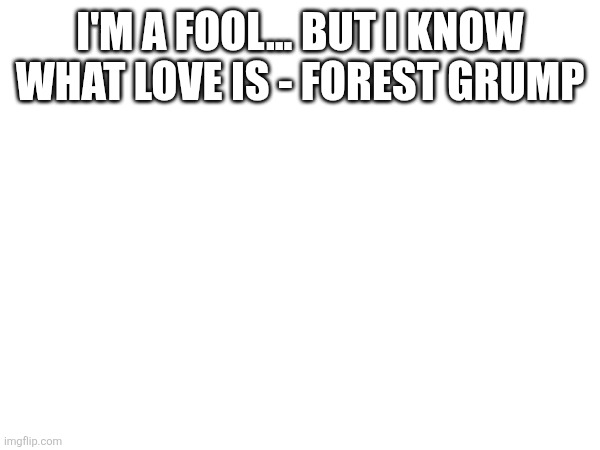 I'M A FOOL... BUT I KNOW WHAT LOVE IS - FOREST GRUMP | made w/ Imgflip meme maker