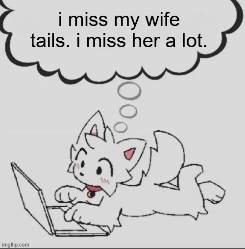 huh??? guh??? hwuh??? | i miss my wife tails. i miss her a lot. | image tagged in huh guh hwuh | made w/ Imgflip meme maker