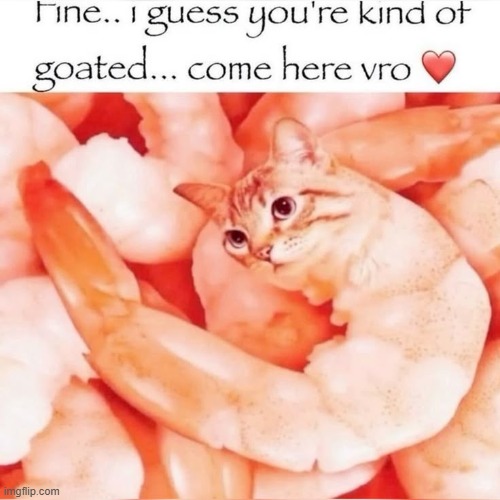 image tagged in shrimp,cat | made w/ Imgflip meme maker