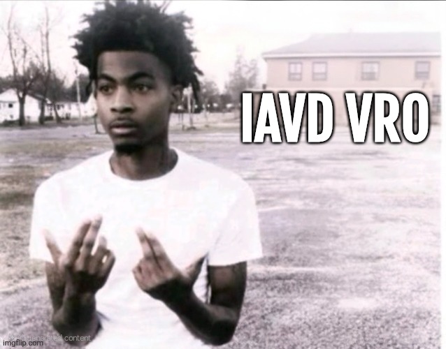 Iavd means i am very dum | IAVD VRO | image tagged in dumb | made w/ Imgflip meme maker