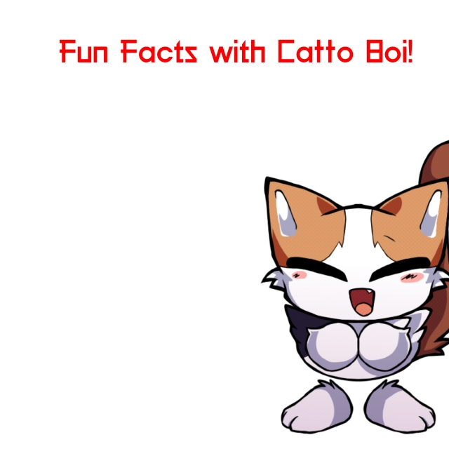 Fun facts with catto boi Blank Meme Template