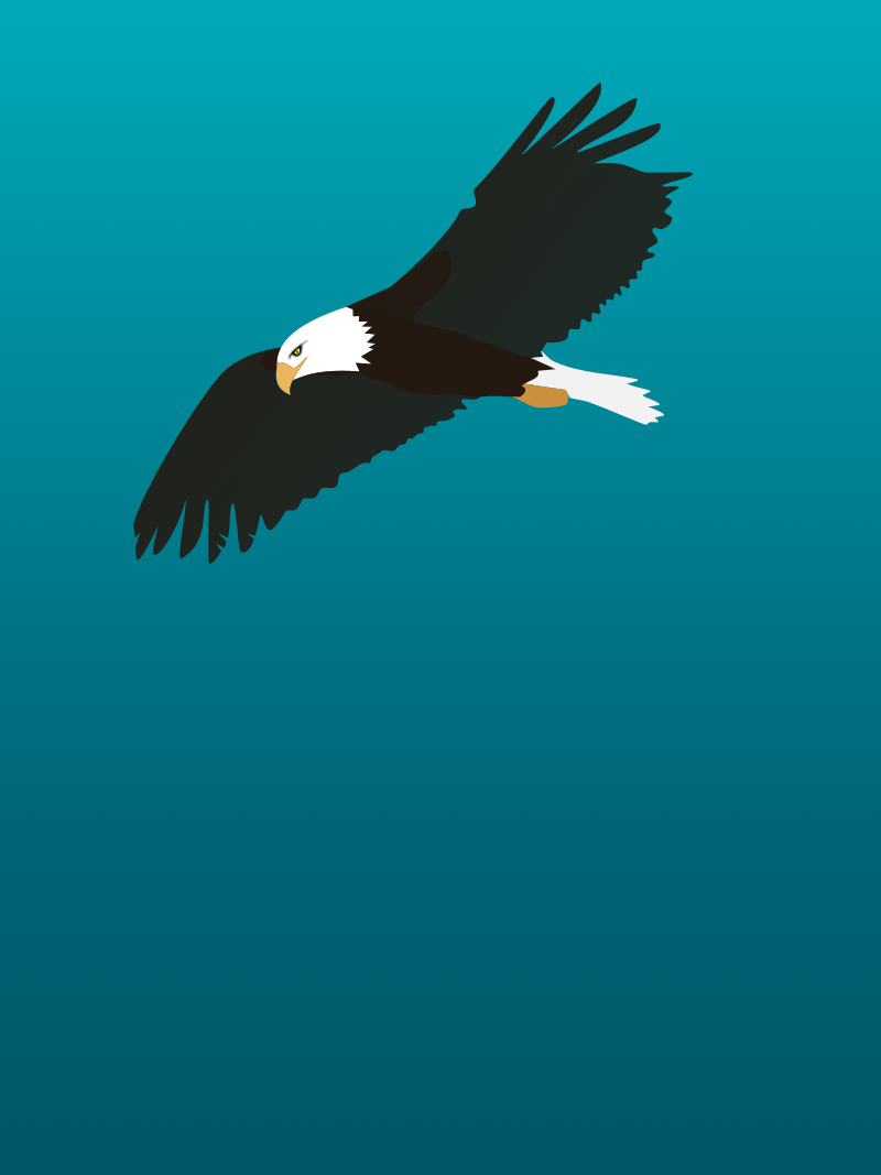 Flying eagle template Blank Meme Template