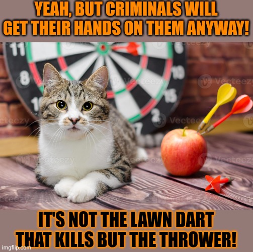 This #lolcat wonders why not a single child had been killed by a lawn dart since they got banned | YEAH, BUT CRIMINALS WILL GET THEIR HANDS ON THEM ANYWAY! IT'S NOT THE LAWN DART THAT KILLS BUT THE THROWER! | image tagged in lawn,darts,lolcat,gun control,banned | made w/ Imgflip meme maker