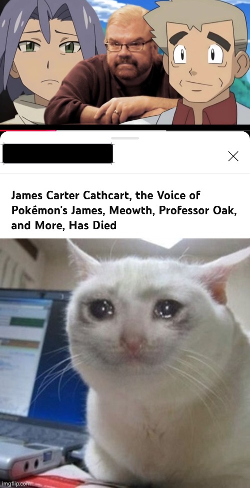 RIP. :( | image tagged in crying cat,voice actor | made w/ Imgflip meme maker