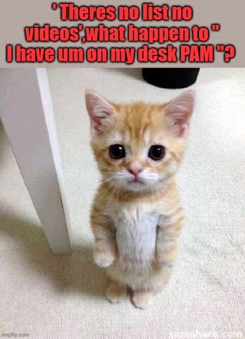 Cat demands answers,next you'll tell us JFK killed himself. | ' Theres no list no videos',what happen to " I have um on my desk PAM "? | image tagged in memes,cute cat | made w/ Imgflip meme maker