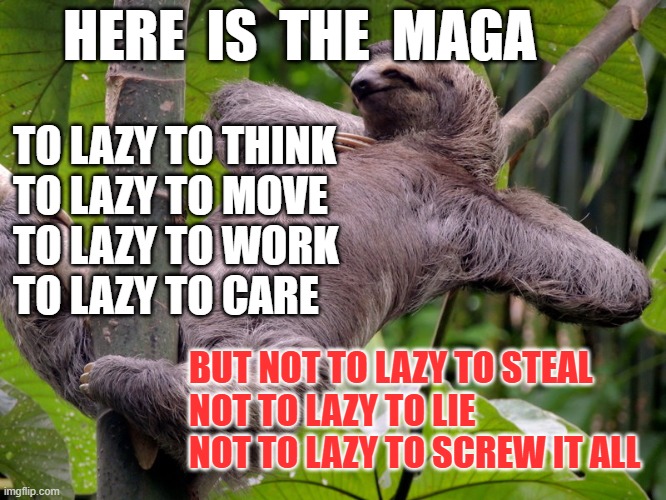LAZY MAGASTAINS | HERE  IS  THE  MAGA; TO LAZY TO THINK
TO LAZY TO MOVE
TO LAZY TO WORK
TO LAZY TO CARE; BUT NOT TO LAZY TO STEAL
NOT TO LAZY TO LIE
NOT TO LAZY TO SCREW IT ALL | image tagged in lazy sloth | made w/ Imgflip meme maker