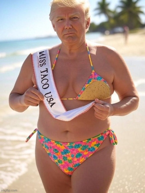 miss TACO | image tagged in trump,taco | made w/ Imgflip meme maker