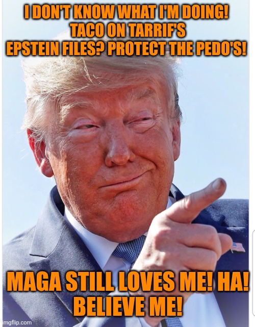Trump pointing | I DON'T KNOW WHAT I'M DOING! 
TACO ON TARRIF'S EPSTEIN FILES? PROTECT THE PEDO'S! MAGA STILL LOVES ME! HA!
BELIEVE ME! | image tagged in trump pointing | made w/ Imgflip meme maker