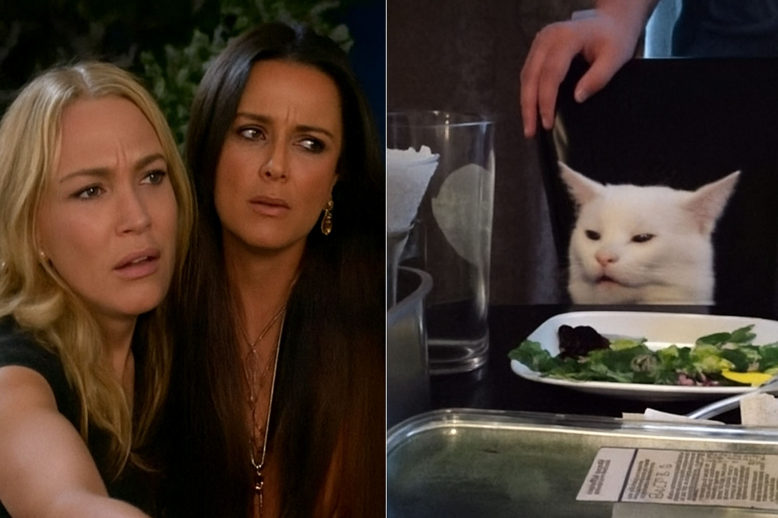 confused women cat Blank Meme Template