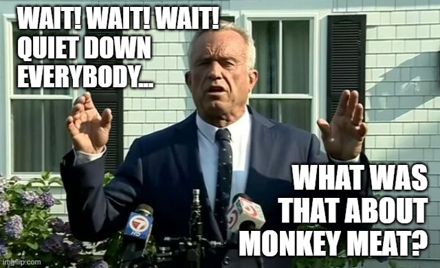 Robert Kennedy Jr hands apart | WAIT! WAIT! WAIT!
QUIET DOWN
EVERYBODY... WHAT WAS
THAT ABOUT
MONKEY MEAT? | image tagged in robert kennedy jr hands apart | made w/ Imgflip meme maker