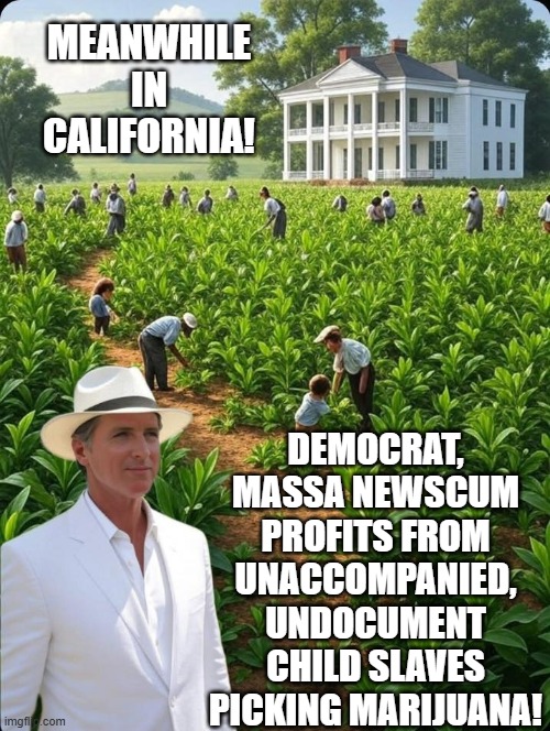 Meanwhile in California! Child slaves pick marijuana for Massa Newscum!! | MEANWHILE IN CALIFORNIA! DEMOCRAT, MASSA NEWSCUM PROFITS FROM UNACCOMPANIED, UNDOCUMENT CHILD SLAVES PICKING MARIJUANA! | image tagged in slaves,sam elliott special kind of stupid,stupid liberals,democrats | made w/ Imgflip meme maker