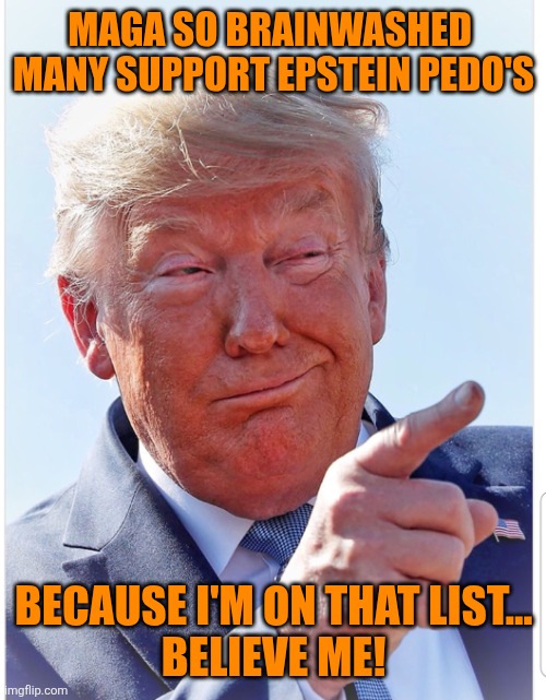 Trump pointing | MAGA SO BRAINWASHED 
MANY SUPPORT EPSTEIN PEDO'S BECAUSE I'M ON THAT LIST...
BELIEVE ME! | image tagged in trump pointing | made w/ Imgflip meme maker