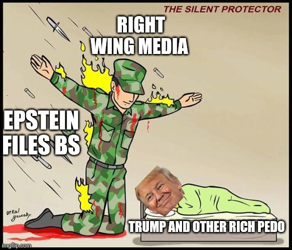 We are here to protect | RIGHT WING MEDIA; EPSTEIN FILES BS; TRUMP AND OTHER RICH PEDO | image tagged in donald trump,maga,trump,jeffrey epstein,epstein,right wing | made w/ Imgflip meme maker