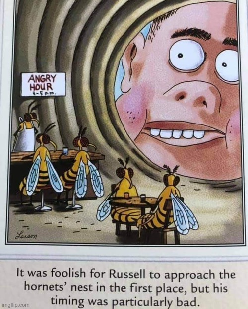 The Far Side | image tagged in comics,the far side,hornets nest,angry hour | made w/ Imgflip meme maker