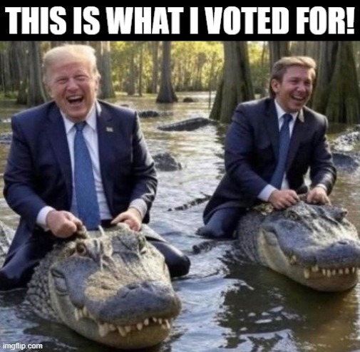 This is what I voted for! | image tagged in yes | made w/ Imgflip meme maker