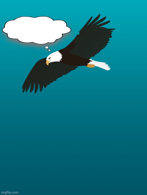 Eagle Eye Observations Blank Meme Template