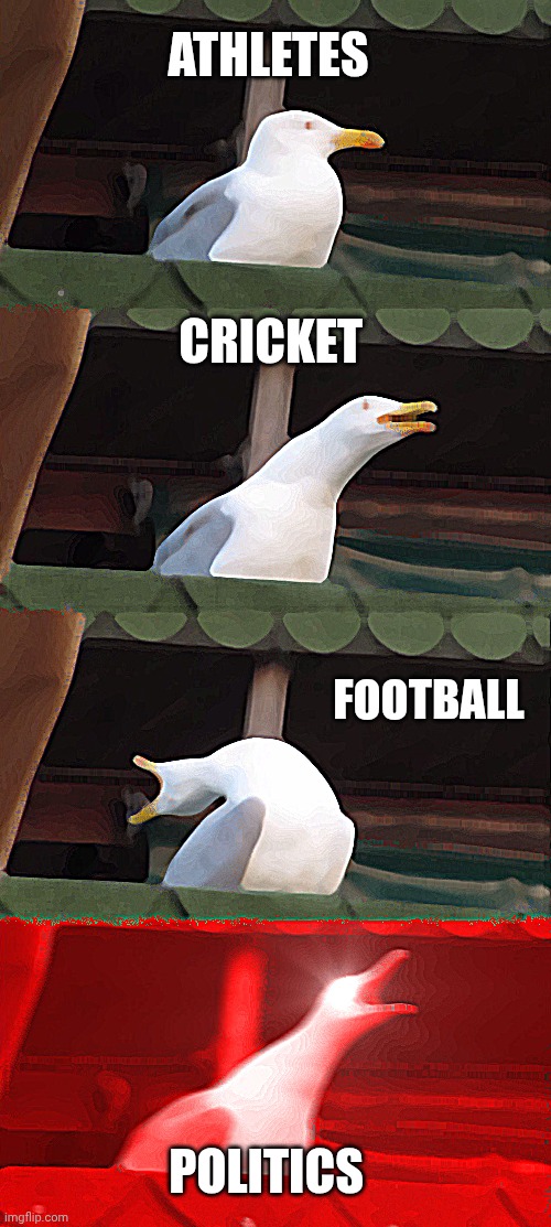Inhaling Seagull Meme | ATHLETES; CRICKET; FOOTBALL; POLITICS | image tagged in memes,inhaling seagull | made w/ Imgflip meme maker