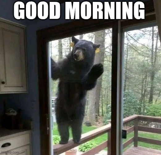 Good Morning | GOOD MORNING | image tagged in chrisjoines1 | made w/ Imgflip meme maker