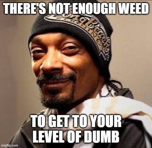 Snoop dogg high on weed | THERE'S NOT ENOUGH WEED; TO GET TO YOUR LEVEL OF DUMB | image tagged in snoop dogg high on weed | made w/ Imgflip meme maker