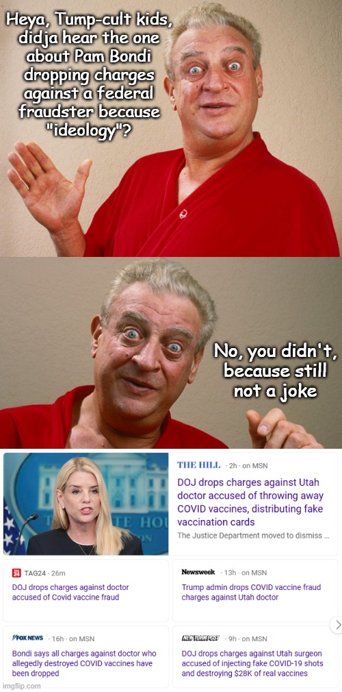 "The corruption continues." *OR* "1,937 instances of fraud." *OR* "Laws? Those only apply to people we don't like." | Heya, Tump-cult kids,
didja hear the one
about Pam Bondi
dropping charges
against a federal
fraudster because
"ideology"? No, you didn't,
because still
not a joke | image tagged in fraud,pam bondi is corrupt,this administration is criminal,double standards,the law is the law | made w/ Imgflip meme maker