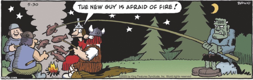Hagar The Horrible | image tagged in comics | made w/ Imgflip meme maker