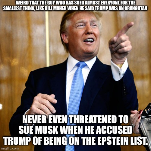 Like I said, it's weird. | WEIRD THAT THE GUY WHO HAS SUED ALMOST EVERYONE FOR THE SMALLEST THING, LIKE BILL MAHER WHEN HE SAID TRUMP WAS AN ORANGUTAN; NEVER EVEN THREATENED TO SUE MUSK WHEN HE ACCUSED TRUMP OF BEING ON THE EPSTEIN LIST. | image tagged in donal trump birthday | made w/ Imgflip meme maker