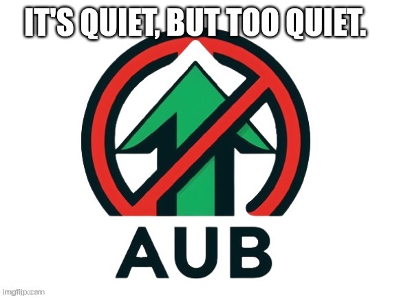 Stay above 150 followers. | IT'S QUIET, BUT TOO QUIET. | image tagged in aub official flag | made w/ Imgflip meme maker