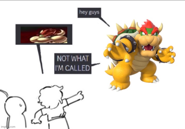 Not what im called | image tagged in not what im called | made w/ Imgflip meme maker