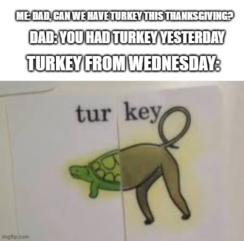nice try dad | ME: DAD, CAN WE HAVE TURKEY THIS THANKSGIVING? DAD: YOU HAD TURKEY YESTERDAY; TURKEY FROM WEDNESDAY: | image tagged in turkey,meme,funny,lol | made w/ Imgflip meme maker