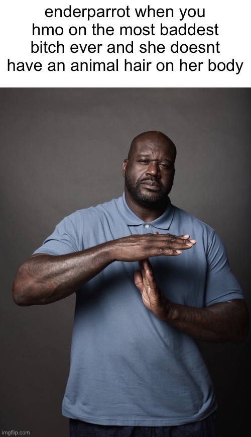 Shaq timeout | enderparrot when you hmo on the most baddest bitch ever and she doesnt have an animal hair on her body | image tagged in shaq timeout | made w/ Imgflip meme maker