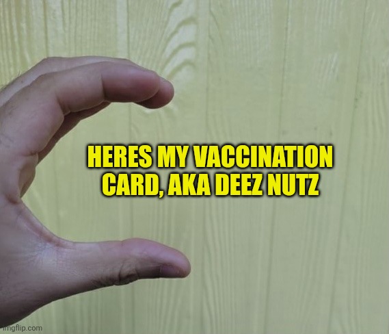 Here’s my card... | HERES MY VACCINATION CARD, AKA DEEZ NUTZ | image tagged in here s my card | made w/ Imgflip meme maker