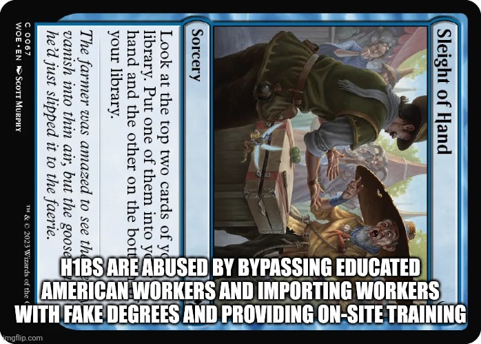 H1BS ARE ABUSED BY BYPASSING EDUCATED AMERICAN WORKERS AND IMPORTING WORKERS WITH FAKE DEGREES AND PROVIDING ON-SITE TRAINING | image tagged in funny memes | made w/ Imgflip meme maker