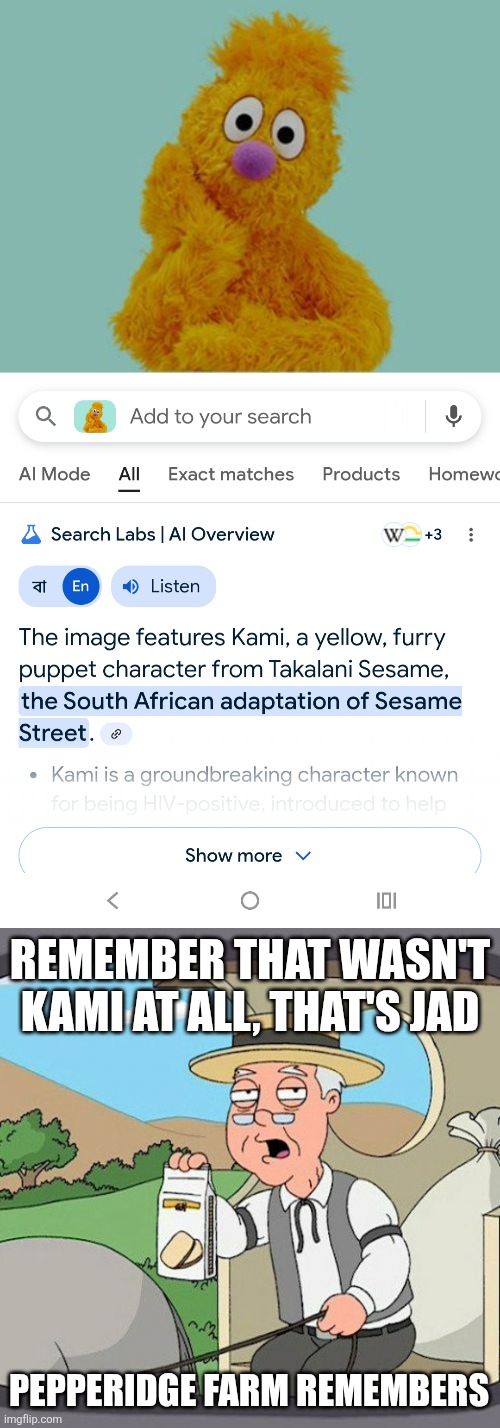 Bro called him kami while kami ain't a boy while jad is | REMEMBER THAT WASN'T KAMI AT ALL, THAT'S JAD; PEPPERIDGE FARM REMEMBERS | image tagged in pepperidge farm remembers,memes,sesame street,dumb,look how they massacred my boy,oh wow are you actually reading these tags | made w/ Imgflip meme maker