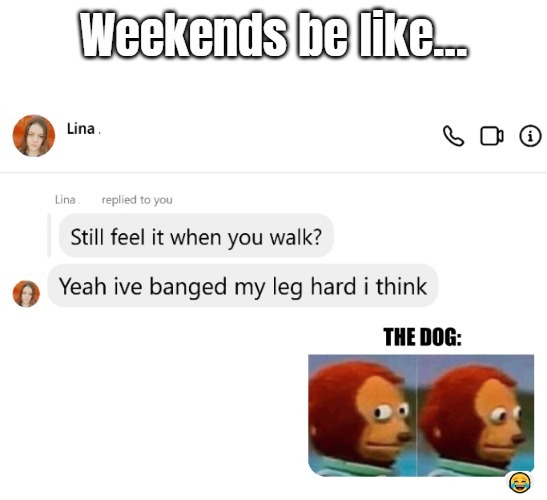 image tagged in funny,dirty mind,chat | made w/ Imgflip meme maker